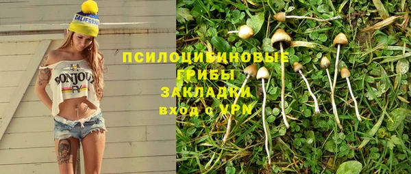 бутират Богородицк