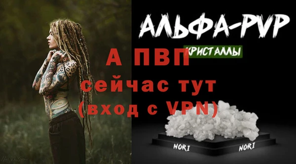 a pvp Богданович