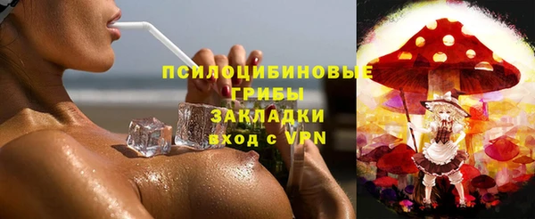 a pvp Богданович